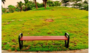 Ghế công viên không tựa